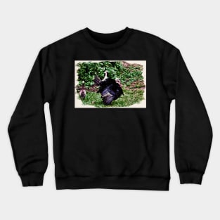 Turkey / Maléa is looking for the goblin - children's book WolfArt Crewneck Sweatshirt